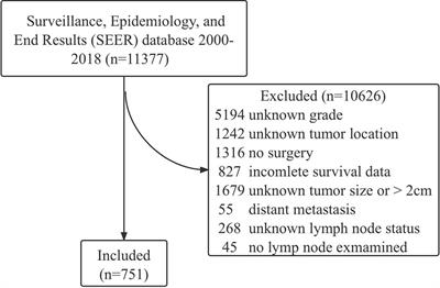 Prognostic Factors of Small Non-Functional Pancreatic Neuroendocrine Tumors and the Risk of Lymph Node Metastasis: A Population-Level Study